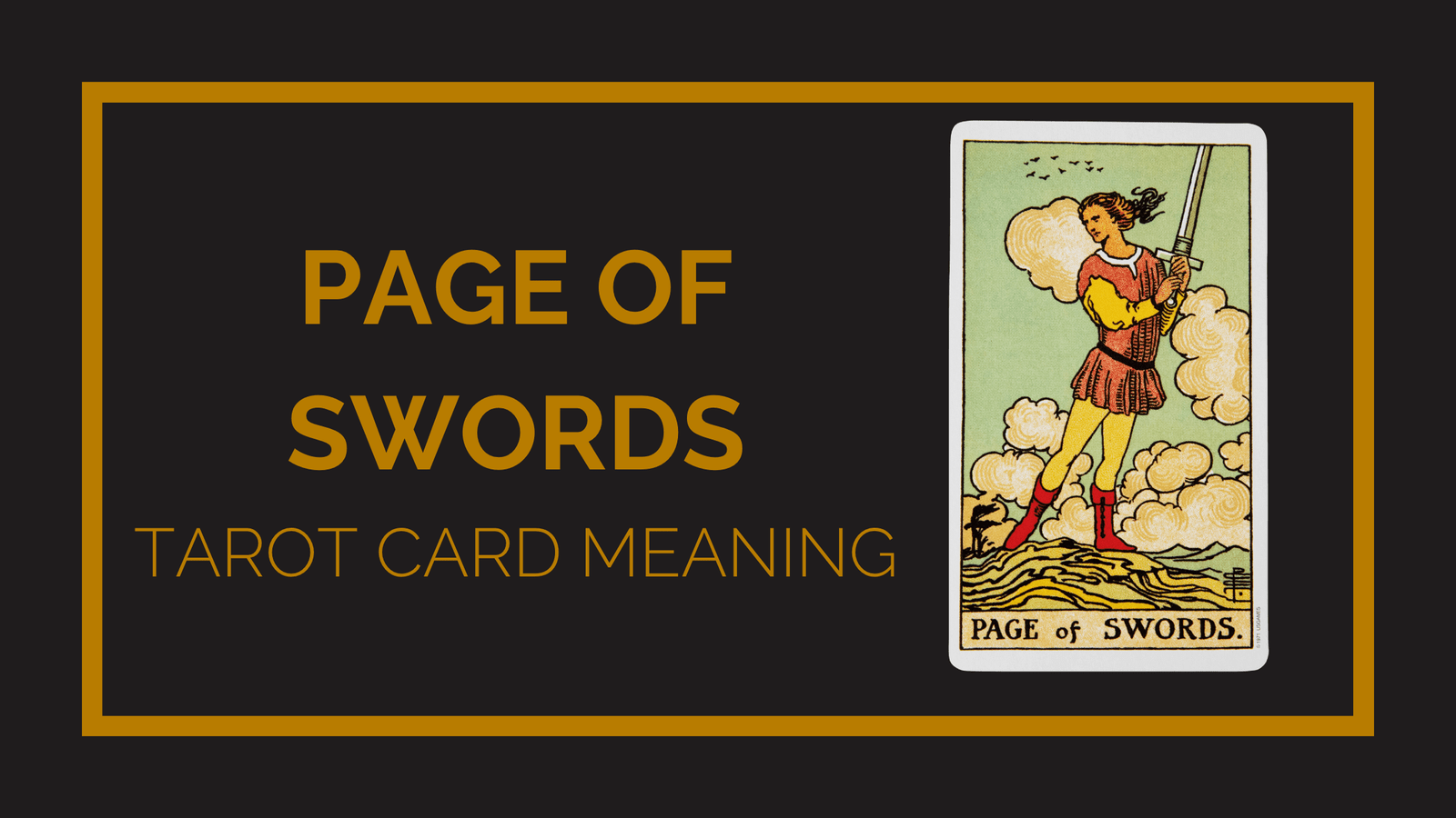 Page of swords tarot card meaning | tarot with gord