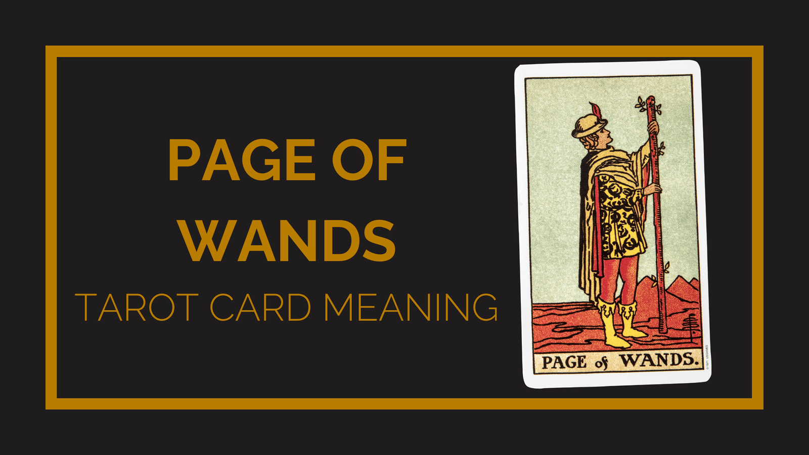 Page of wands tarot card meaning | tarot with gord