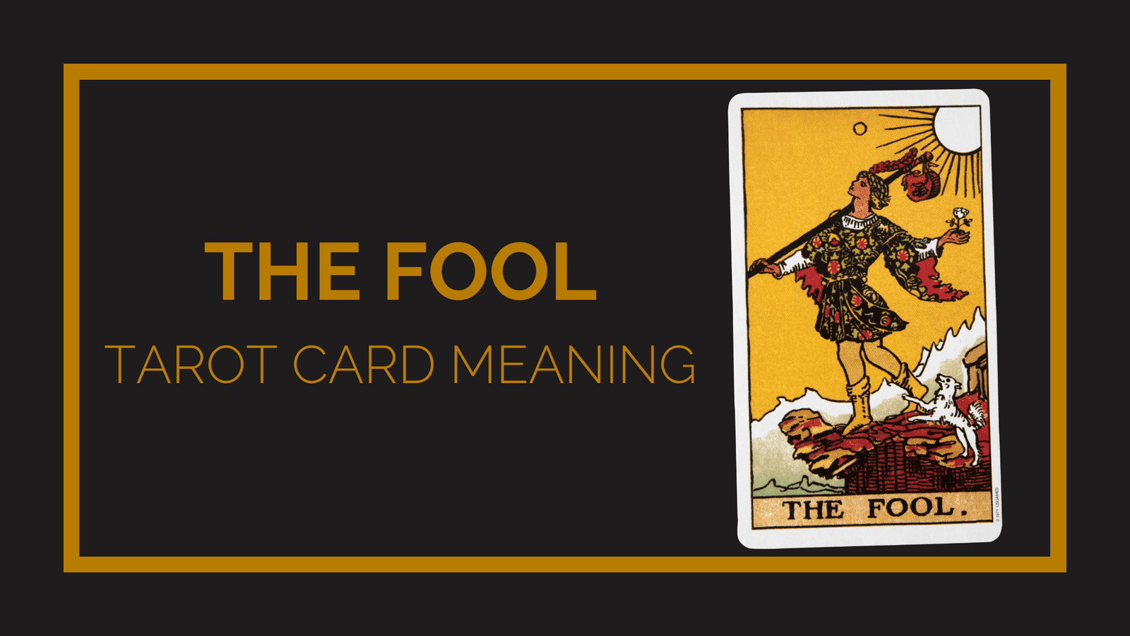 The fool tarot card meaning | tarot with gord