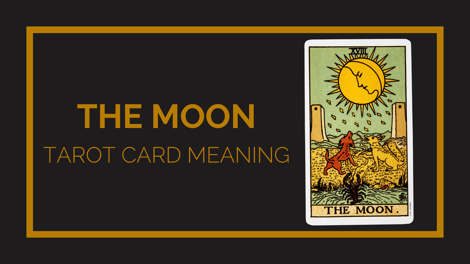 The moon tarot card meaning | tarot with gord