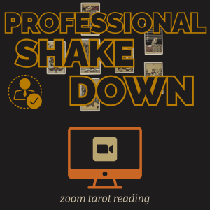 Professional Shakedown Zoom Tarot Reading