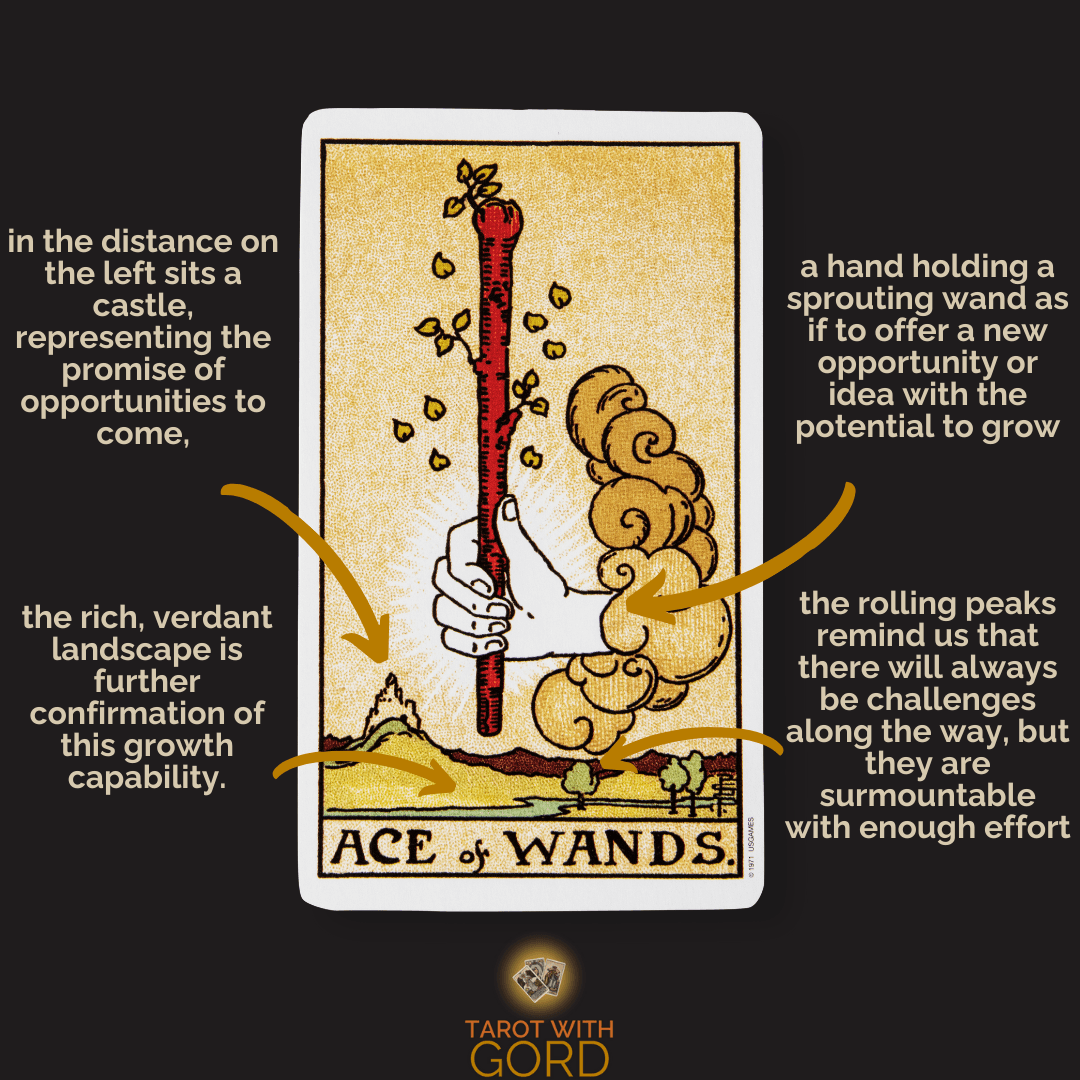 Ace of wands 1 | tarot with gord