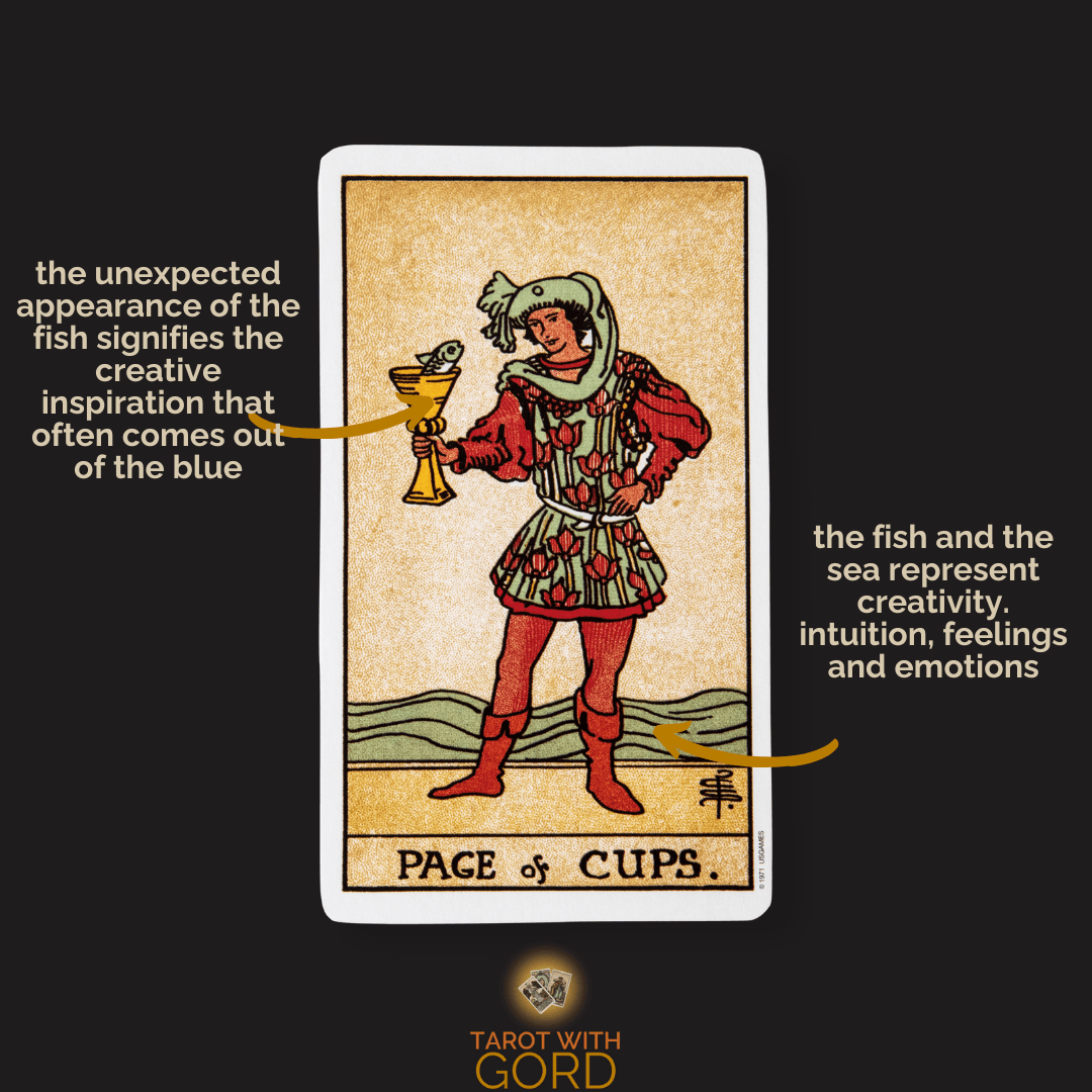 Page of cups 1 | tarot with gord