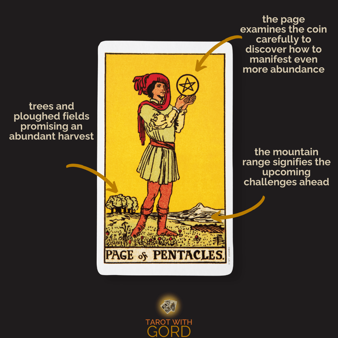 Page of pentacles 1 | tarot with gord