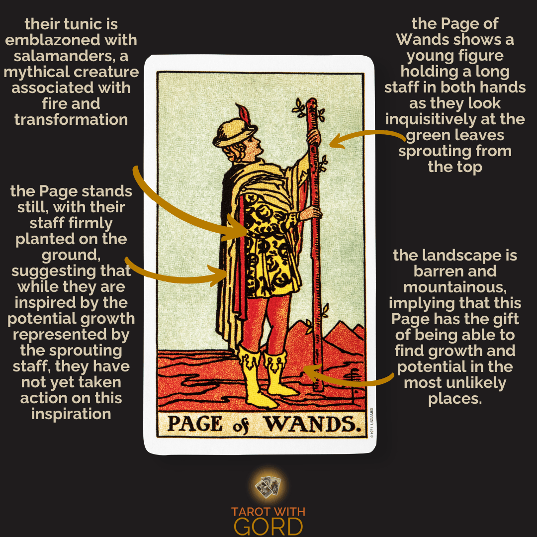 Page of wands 1