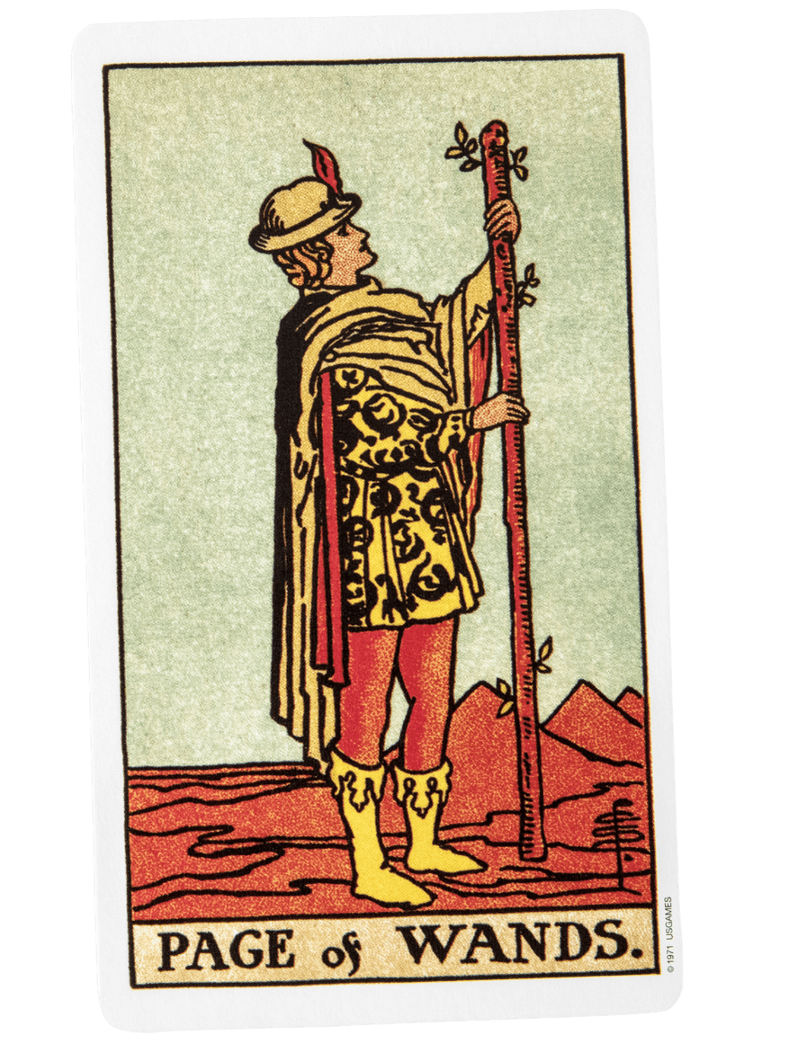 Page of wands | tarot with gord