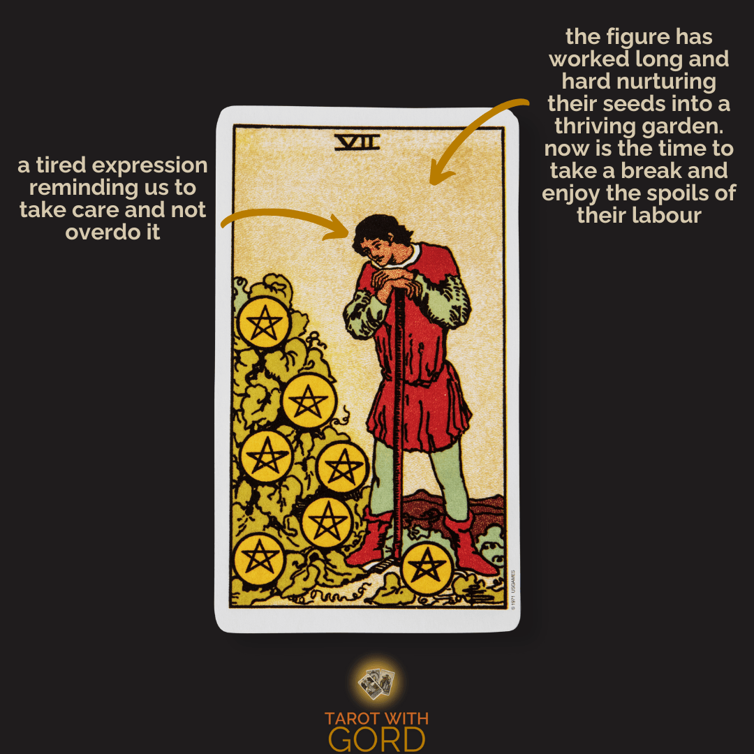 Seven of pentacles 1