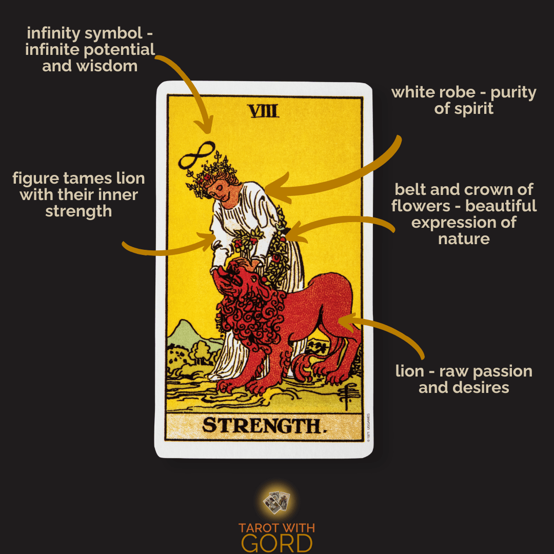 Strength 1 | tarot with gord