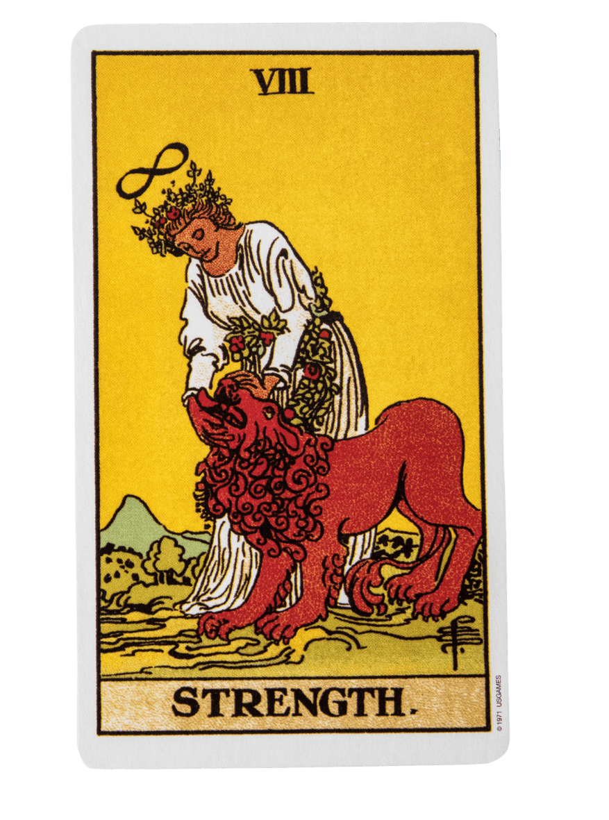 Strength | tarot with gord