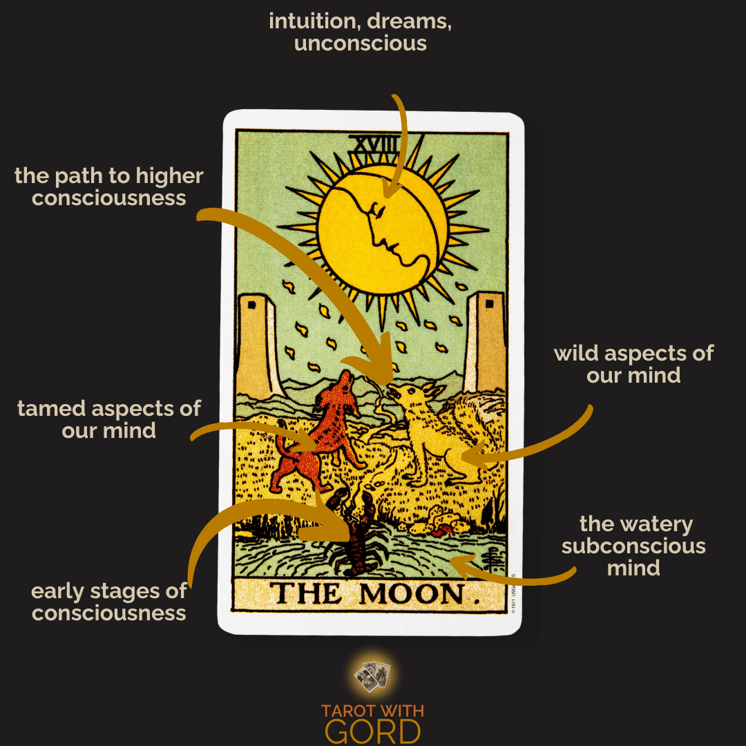 The moon 1 | tarot with gord