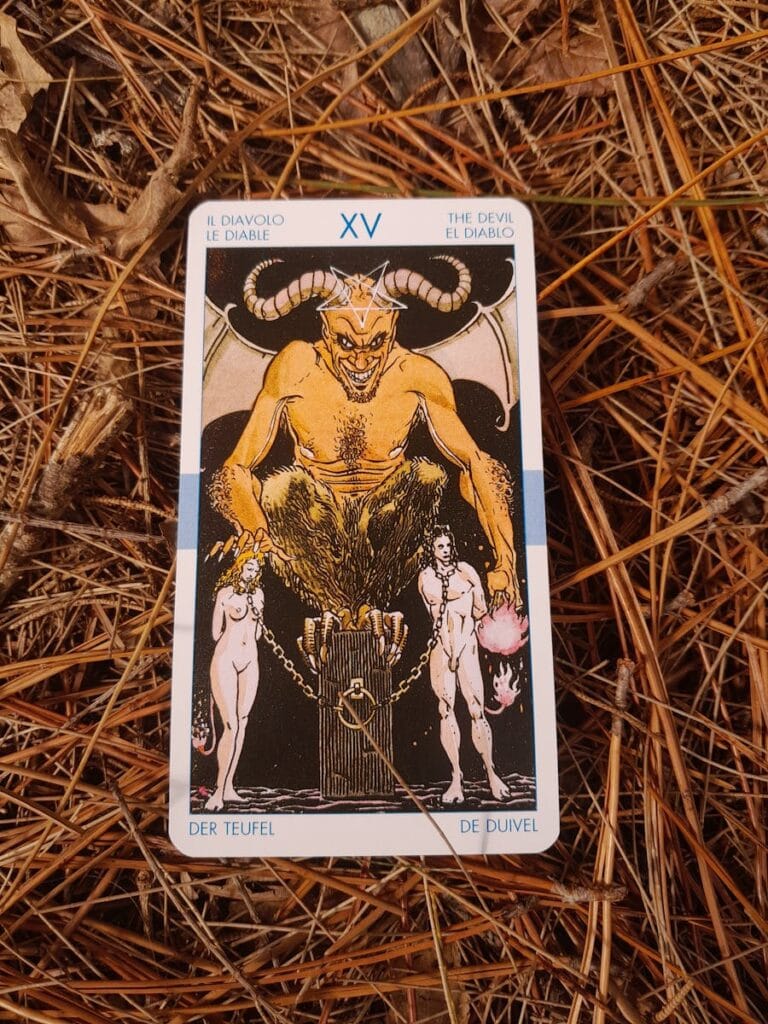 The devil tarot card placed on dried pine needles, showing intricate artwork.