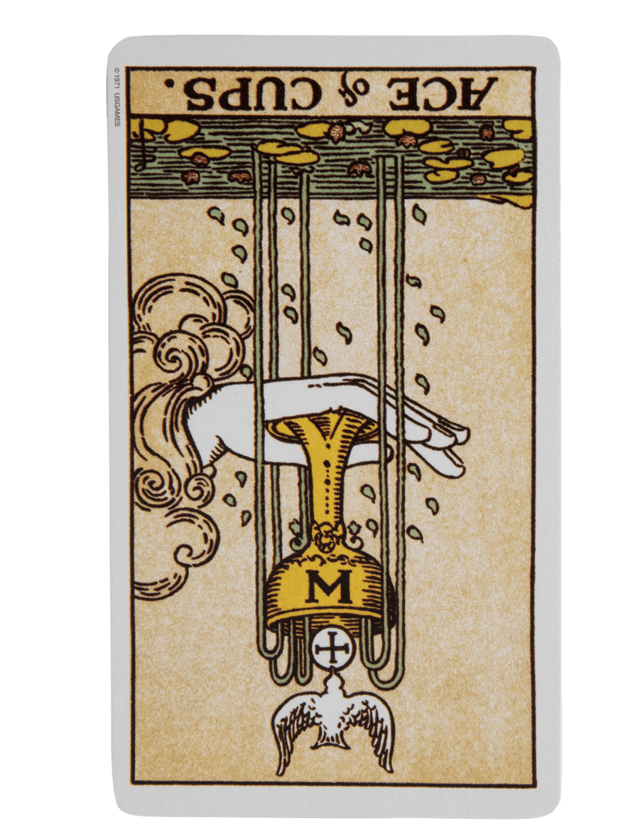 Ace of cups edited